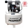 Máy nén khí không dầu giảm âm Pegasus TM-OF550 - 40L