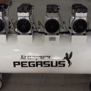 may-nen-khi-pegasus-TM-OF1100X4-300L-2