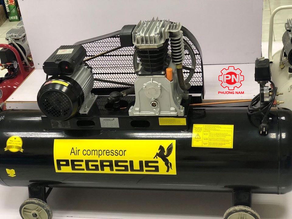 Máy nén khí Pegasus TM-V-0.25/8-120L 3HP/220V - Ảnh 2