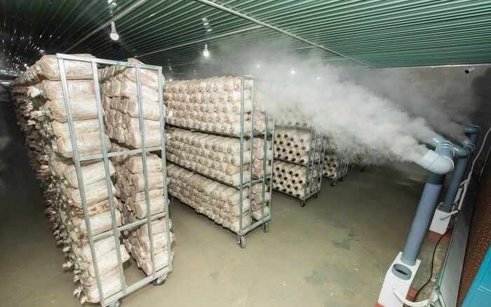 Cách tính công suất máy tạo ẩm công nghiệp cho nhà xưởng