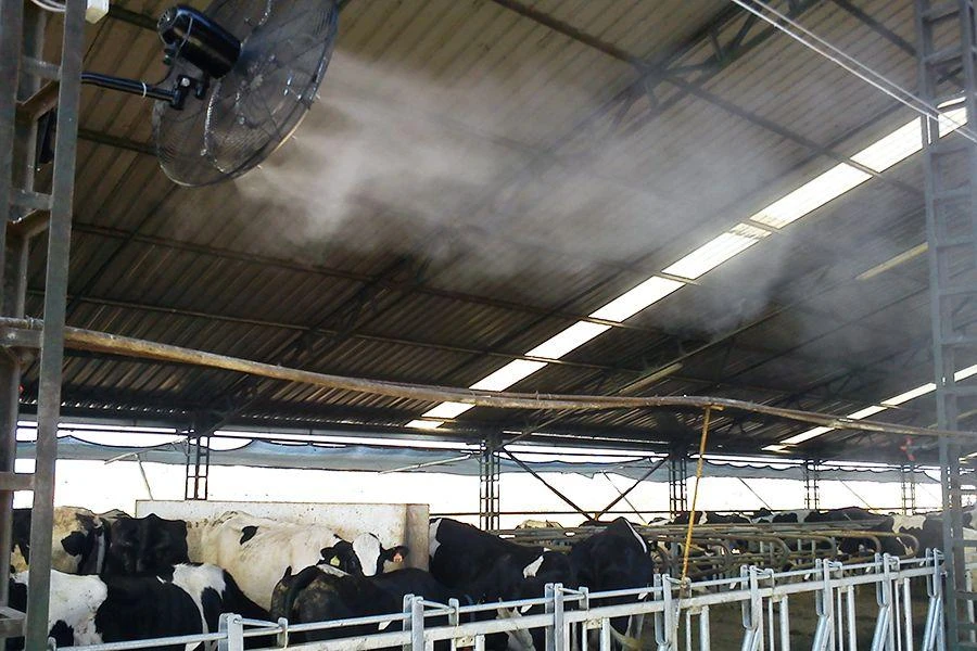 Quạt phun sương công nghiệp Mitsuta DB-26CF03 – Giải pháp làm mát chuồng trại chăn nuôi hiệu quả, tiết kiệm chi phí