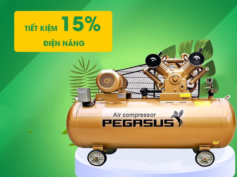 Máy nén khí Pegasus TM-V-0.25/8-120L tiết kiệm chi phí